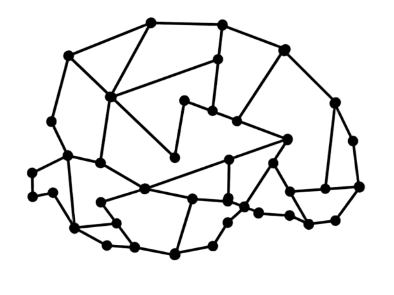 Abstract diagram of connected dots in the shape of the profile of a zebra finch brain. Illustration by Caitlin Gillespie